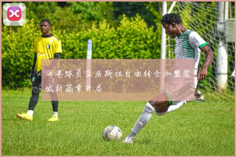 海港球员亚历斯祖自由转会加盟蓉城新篇章开启